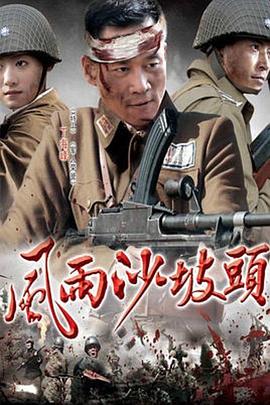 风雨沙坡头第16集