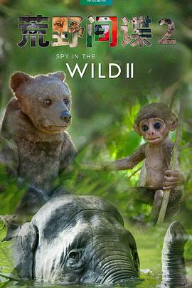 荒野间谍第二季第01集