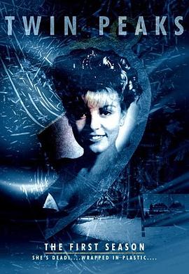 双峰第一季第05集