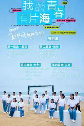 我的青春有片海(大结局)