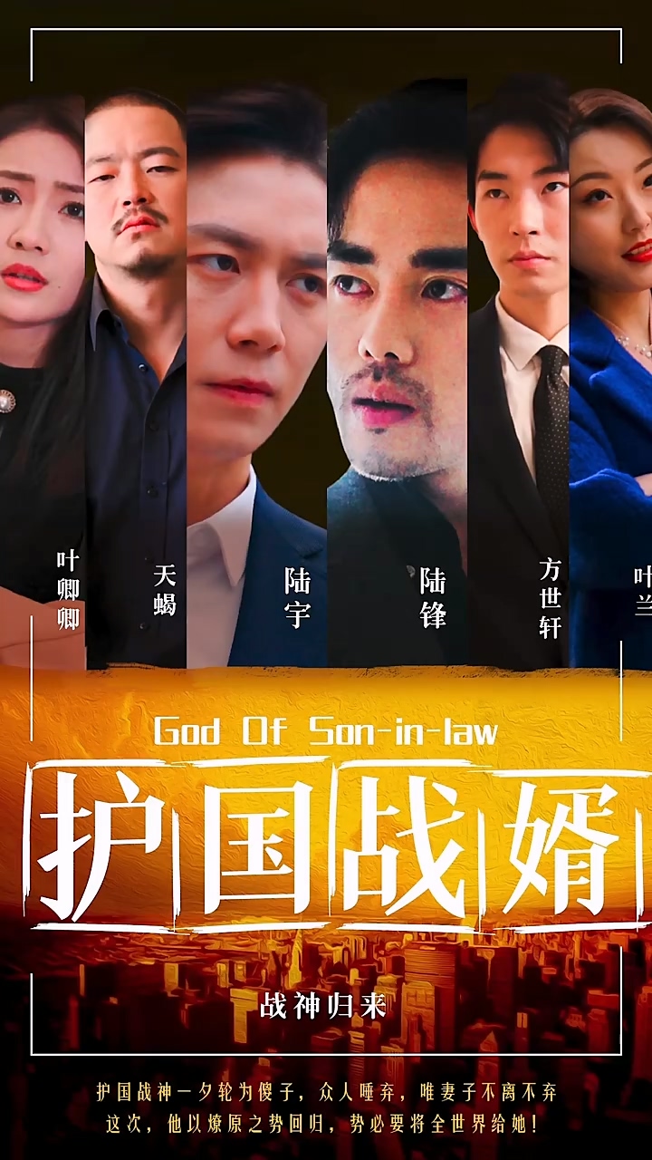 护国战婿第16集