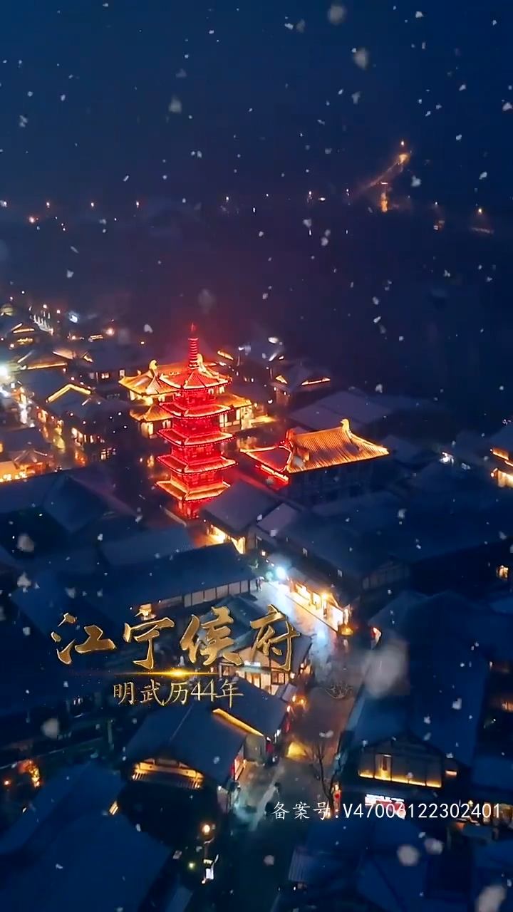 权宠悍妻第101集(大结局)