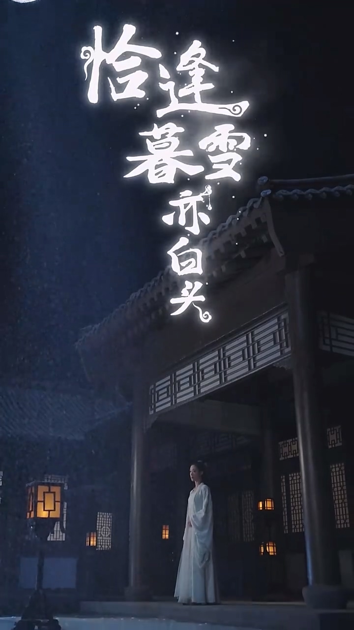 恰逢暮雪亦白头第16集