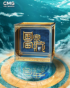 国家宝藏第四季20240518