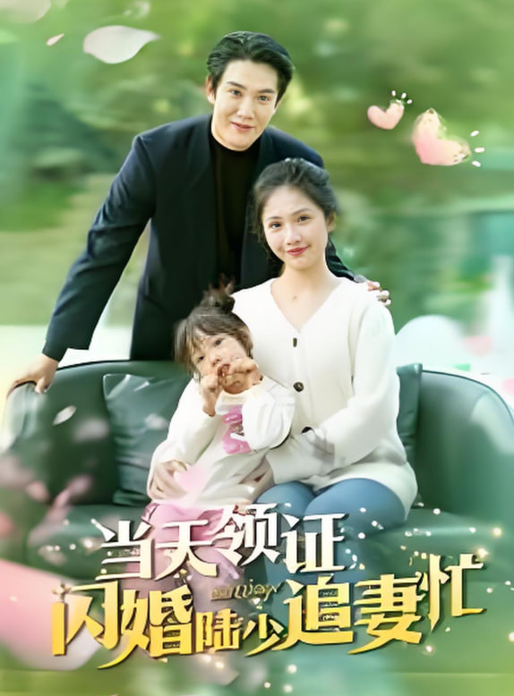 当天领证闪婚陆少追妻忙(全集)