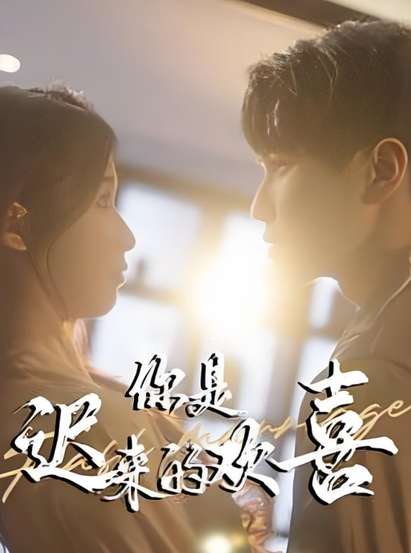 你是迟来的欢喜(全集)