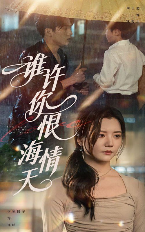 谁许你恨海情天(全集)