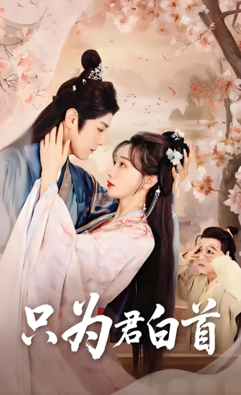 只为君白首(全集)