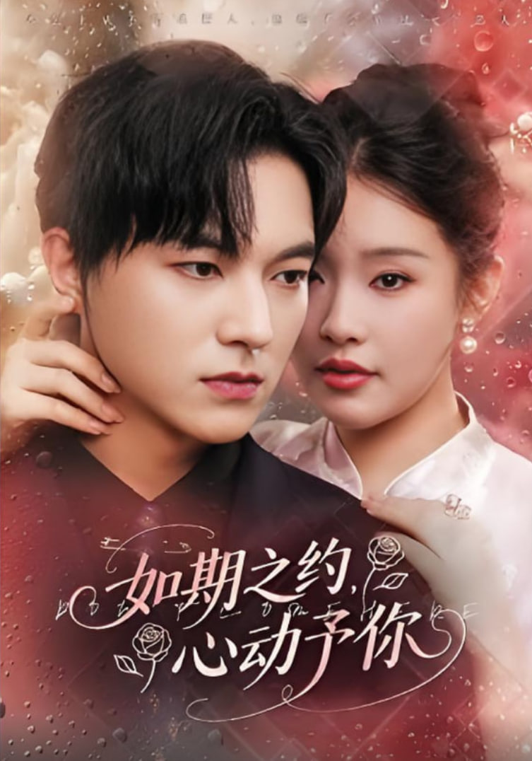 如期之约心动予你(全集)