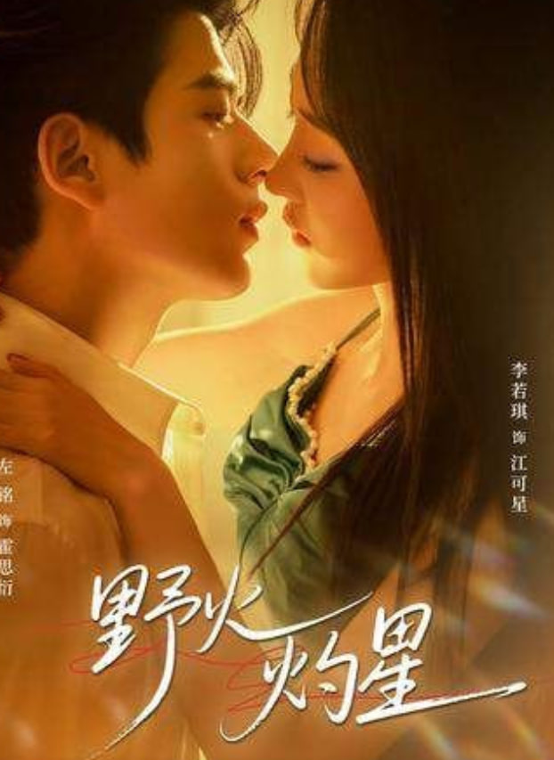 野火灼星(全集)