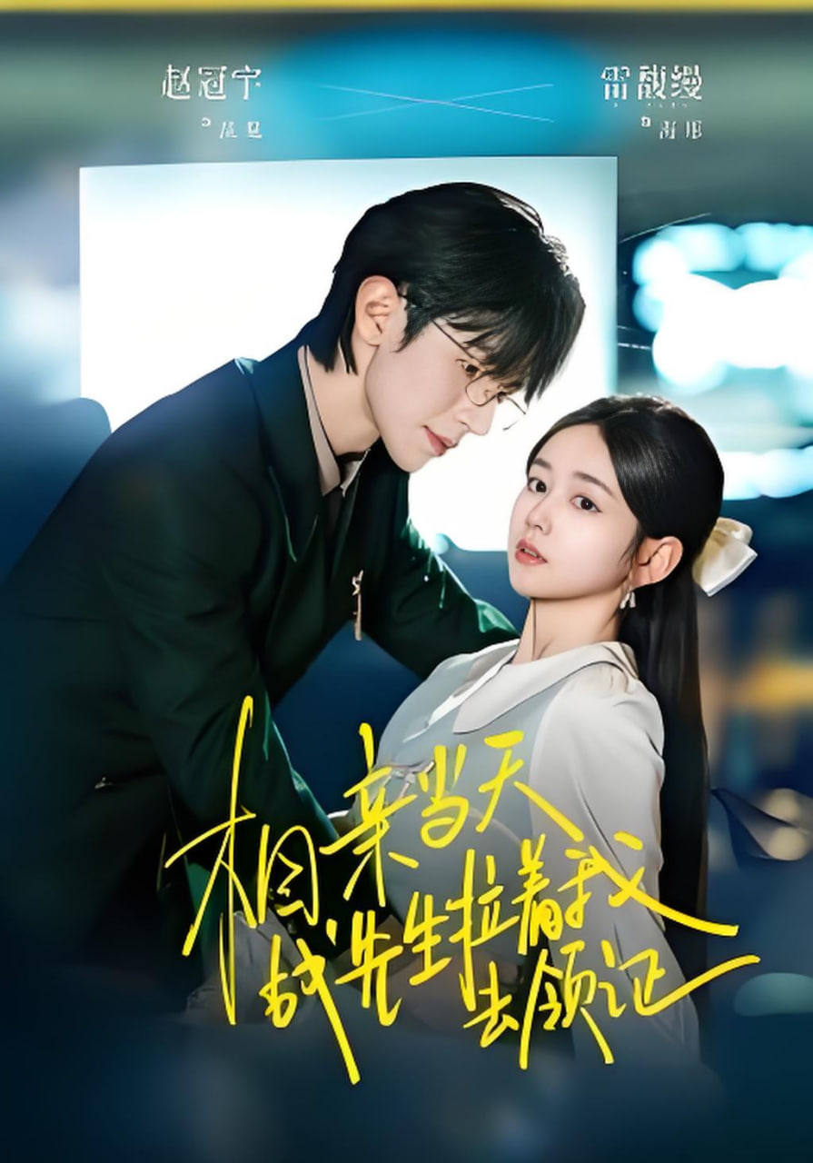 相亲当天战先生拉着我去领证(全集)