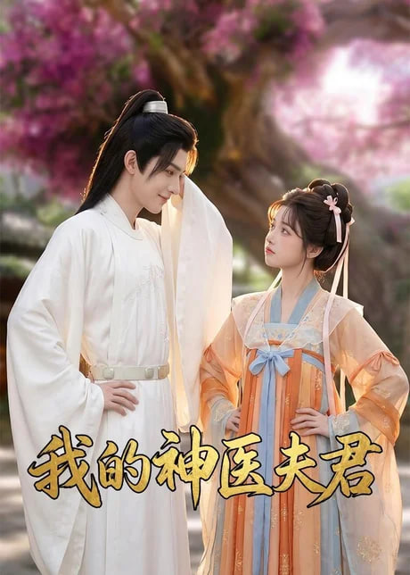 我的神医夫君(全集)