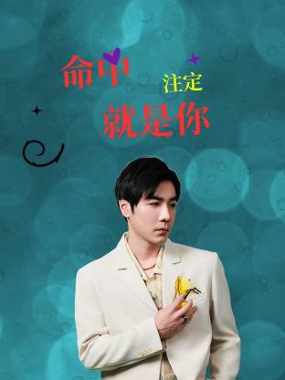 命中注定就是你第12集